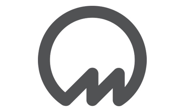 icono logo safetyco.jpg